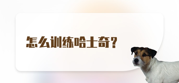 怎么训练哈士奇？