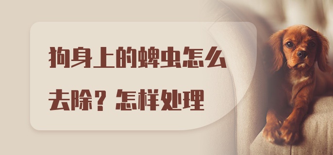 狗身上的蜱虫怎么去除？怎样处理