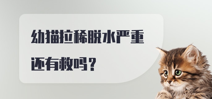 幼猫拉稀脱水严重还有救吗？