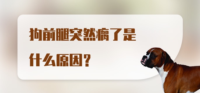 狗前腿突然瘸了是什么原因？