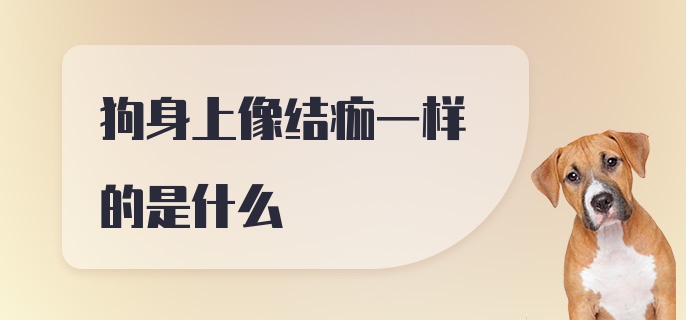 狗身上像结痂一样的是什么