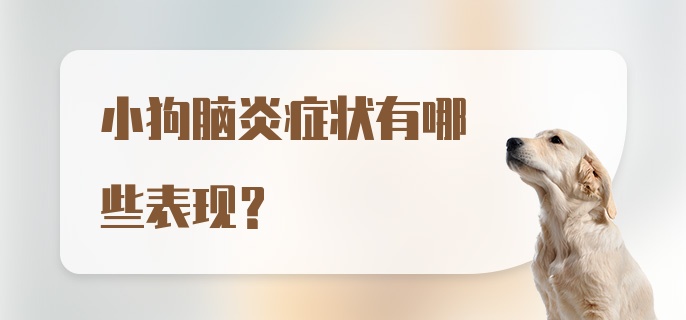 小狗脑炎症状有哪些表现？