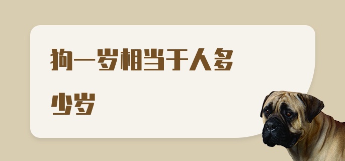 狗一岁相当于人多少岁