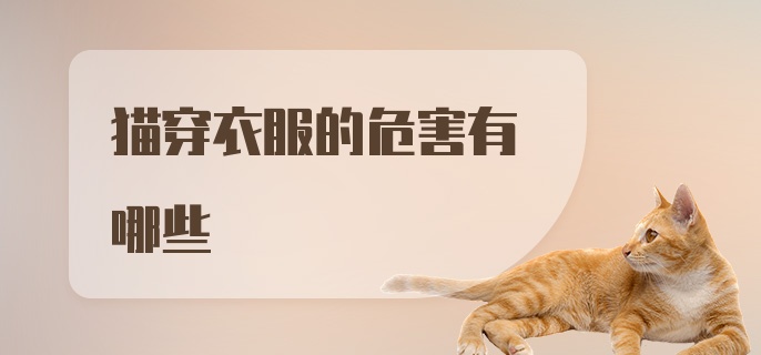 猫穿衣服的危害有哪些