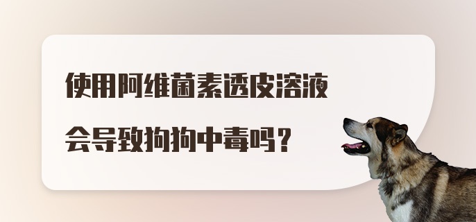 使用阿维菌素透皮溶液会导致狗狗中毒吗？