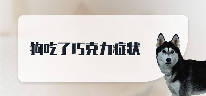 狗吃了巧克力症状