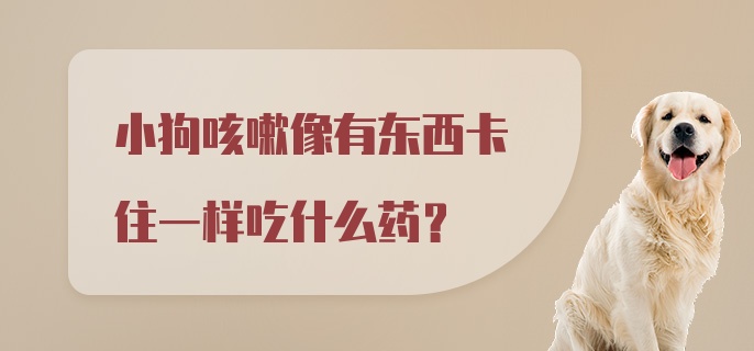 小狗咳嗽像有东西卡住一样吃什么药？