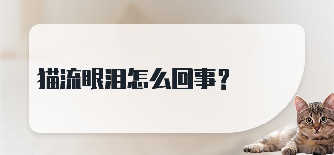 猫流眼泪怎么回事?