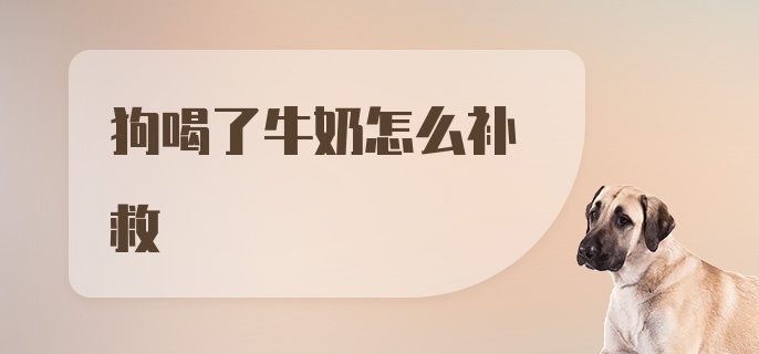 狗喝了牛奶怎么补救