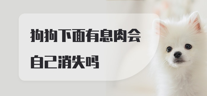 狗狗下面有息肉会自己消失吗