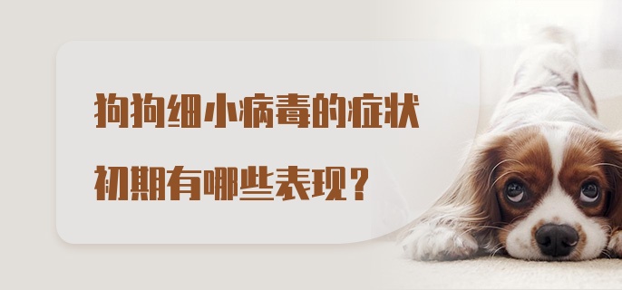 狗狗细小病毒的症状初期有哪些表现？