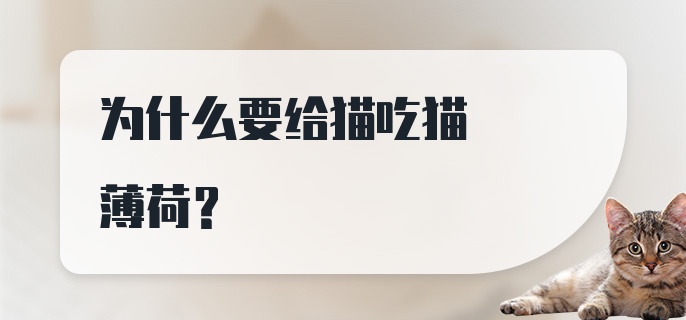 为什么要给猫吃猫薄荷？