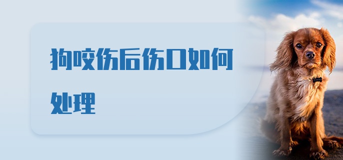 狗咬伤后伤口如何处理