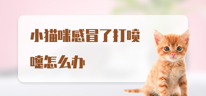 小猫咪感冒了打喷嚏怎么办