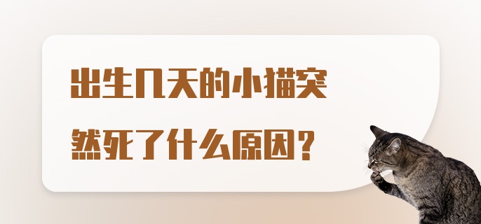 出生几天的小猫突然死了什么原因？