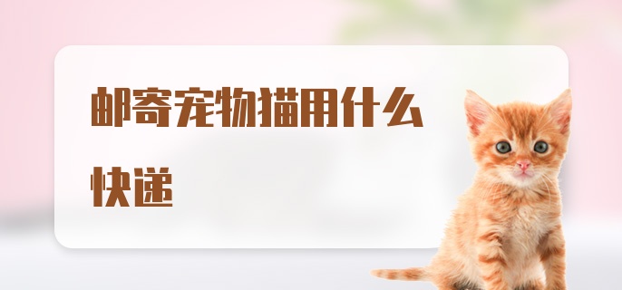 邮寄宠物猫用什么快递