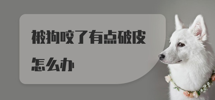 被狗咬了有点破皮怎么办