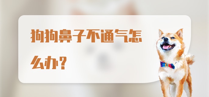 狗狗鼻子不通气怎么办？