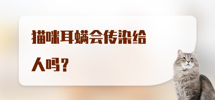 猫咪耳螨会传染给人吗？