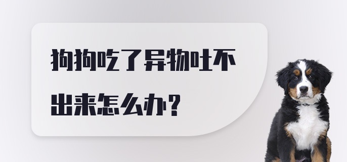 狗狗吃了异物吐不出来怎么办？