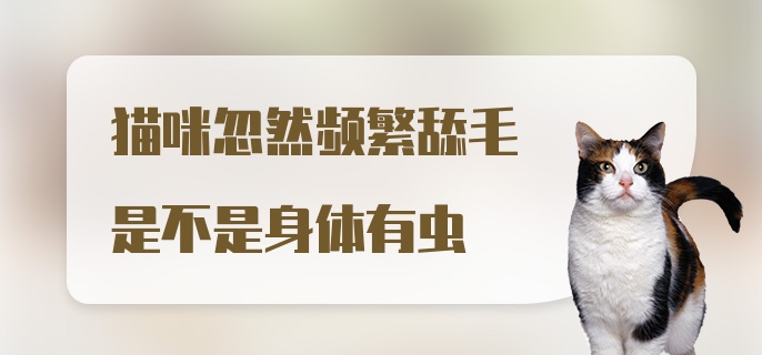 猫咪忽然频繁舔毛是不是身体有虫