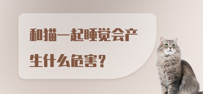 和猫一起睡觉会产生什么危害？