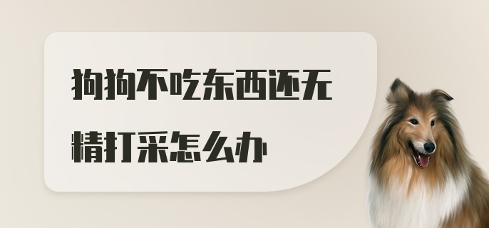 狗狗不吃东西还无精打采怎么办