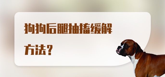 狗狗后腿抽搐缓解方法？