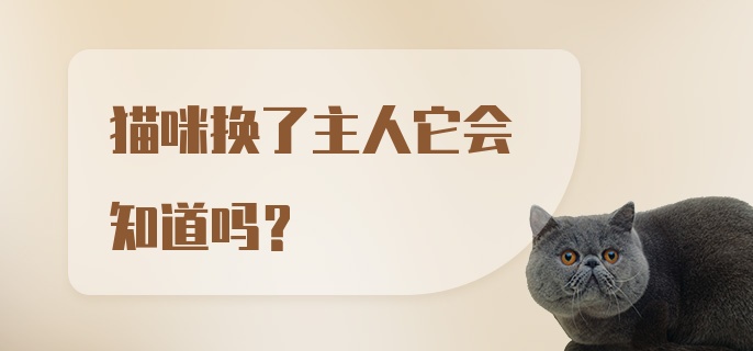 猫咪换了主人它会知道吗？