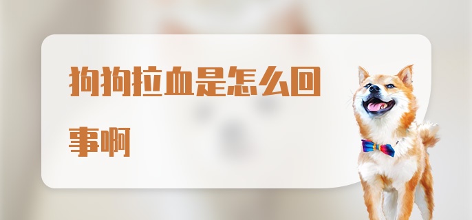 狗狗拉血是怎么回事啊