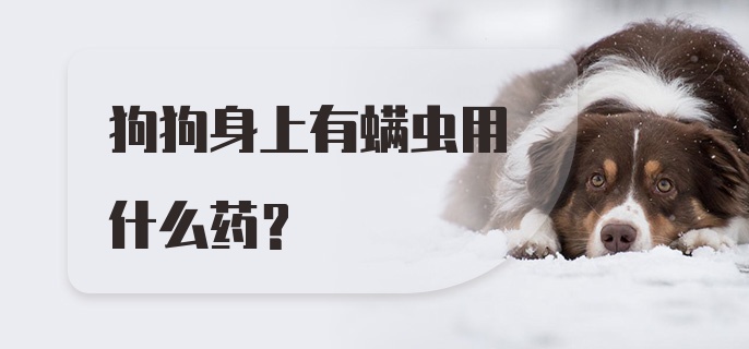 狗狗身上有螨虫用什么药？