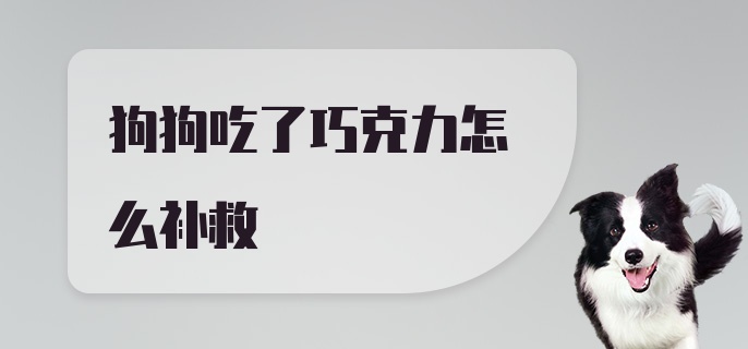 狗狗吃了巧克力怎么补救