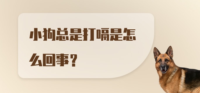 小狗总是打嗝是怎么回事？