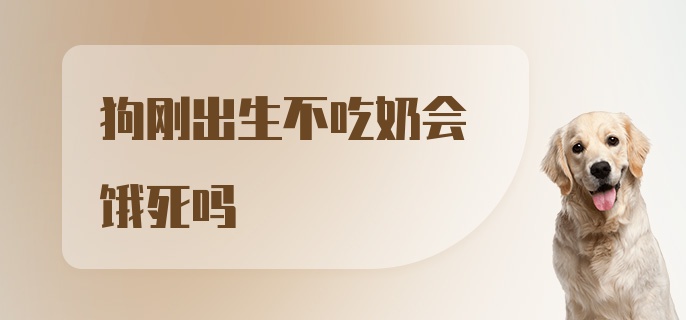 狗刚出生不吃奶会饿死吗