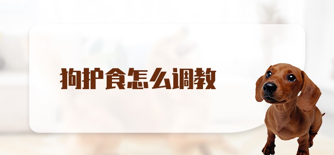 狗护食怎么调教