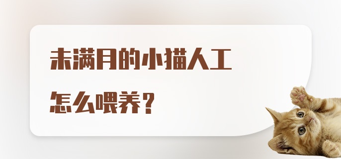 未满月的小猫人工怎么喂养？