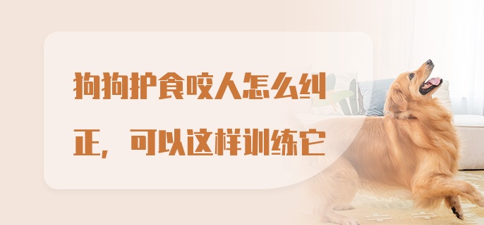 狗狗护食咬人怎么纠正，可以这样训练它