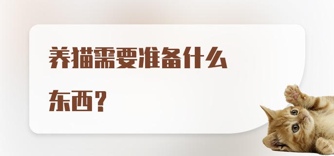 养猫需要准备什么东西？