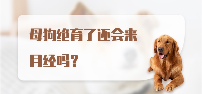 母狗绝育了还会来月经吗？