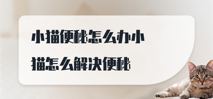 小猫便秘怎么办小猫怎么解决便秘