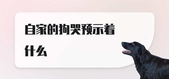 自家的狗哭预示着什么