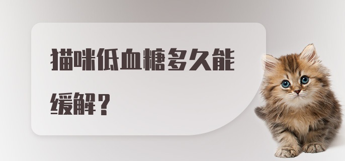 猫咪低血糖多久能缓解？