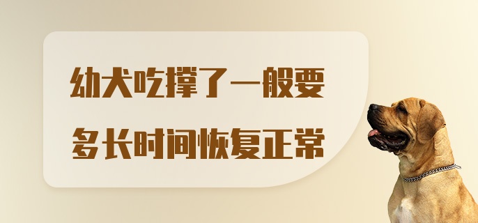 幼犬吃撑了一般要多长时间恢复正常