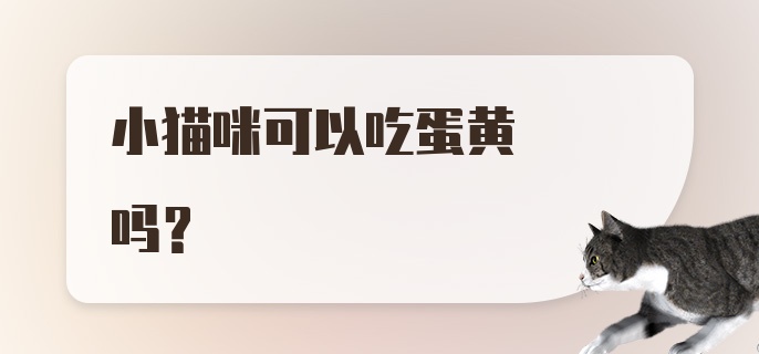 小猫咪可以吃蛋黄吗？