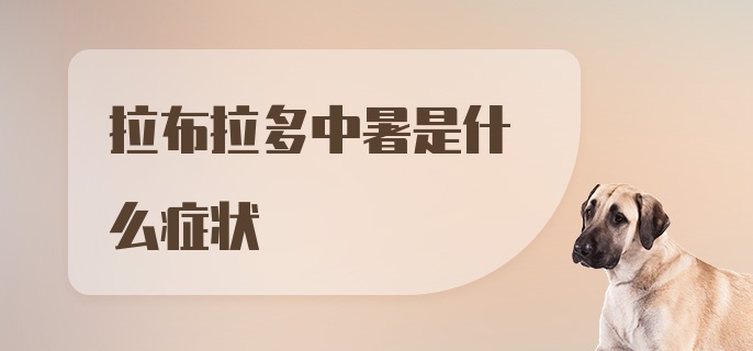 拉布拉多中暑是什么症状