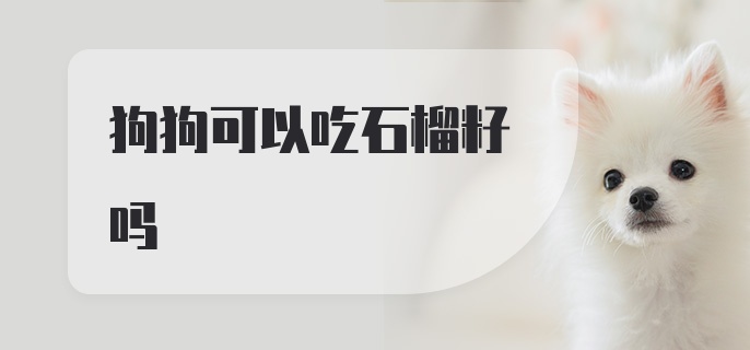 狗狗可以吃石榴籽吗