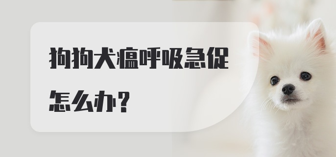 狗狗犬瘟呼吸急促怎么办？