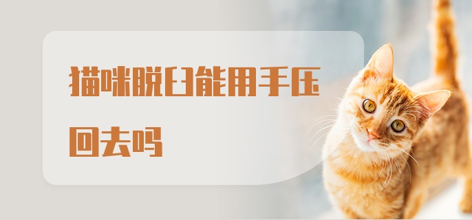 猫咪脱臼能用手压回去吗