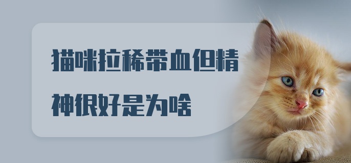 猫咪拉稀带血但精神很好是为啥