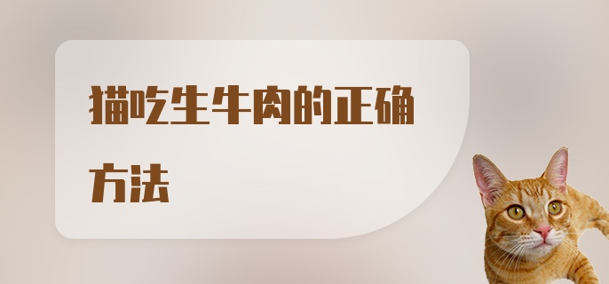 猫吃生牛肉的正确方法